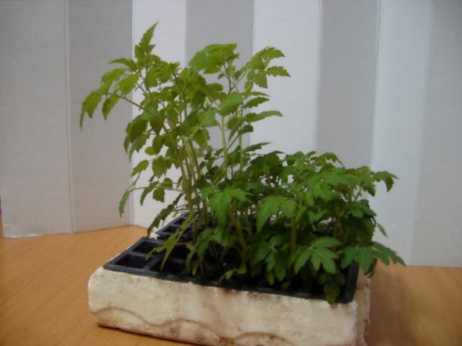 Name:  sahibinden_S7302149.jpg
Views: 1166
Size:  32.0 KB
