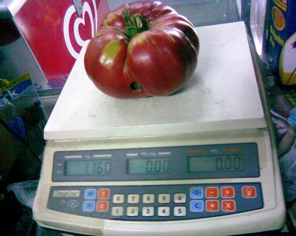 Name:  1160 gram.jpg
Views: 822
Size:  43.9 KB