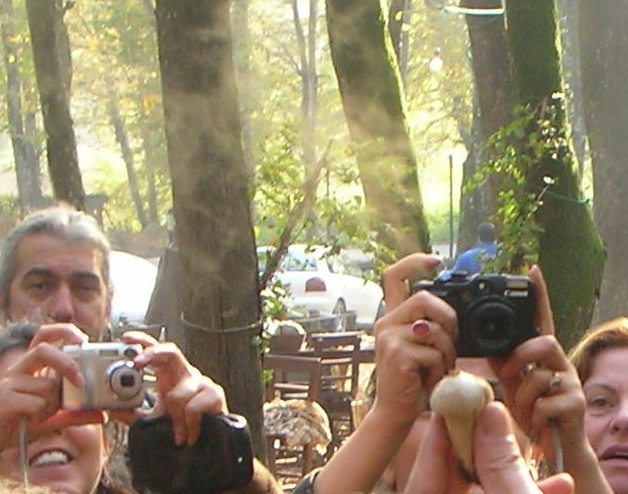 Name:  DSCN5175.JPG
Views: 1261
Size:  66.1 KB