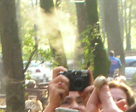Name:  DSCN5174.JPG
Views: 1193
Size:  46.4 KB