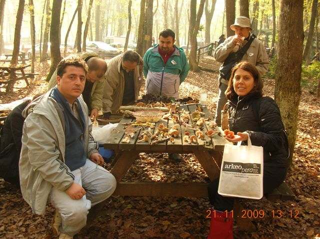 Name:  DSCN6893.jpg
Views: 1055
Size:  67.6 KB