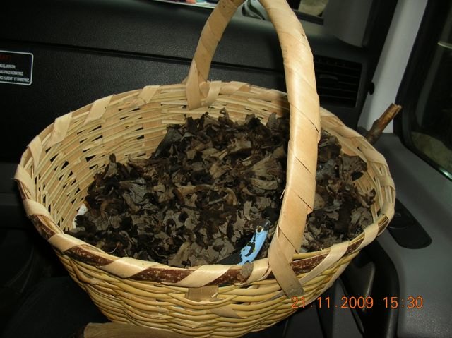 Name:  DSCN6923.jpg
Views: 1626
Size:  67.1 KB