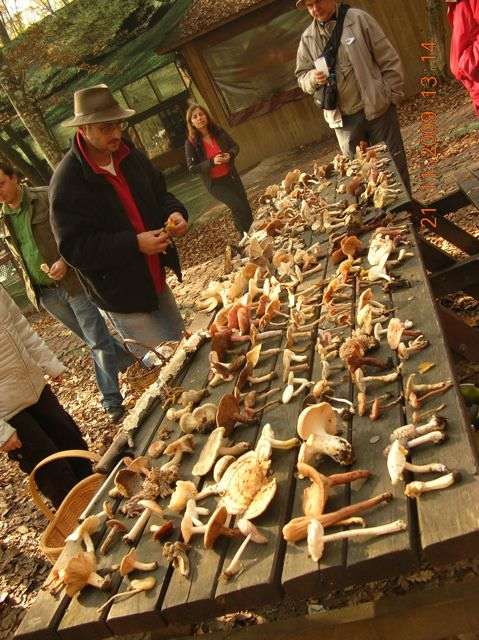 Name:  DSCN6898.jpg
Views: 1117
Size:  64.2 KB