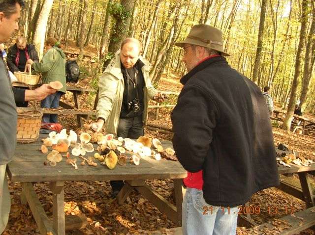 Name:  DSCN6906.jpg
Views: 1267
Size:  63.6 KB