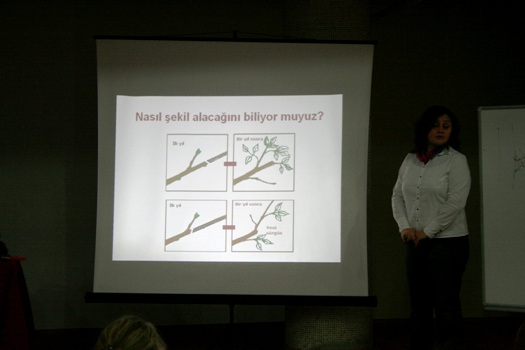 Name:  2.jpg
Views: 1587
Size:  64.5 KB