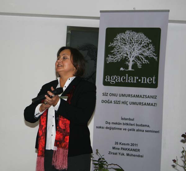 Name:  IMG_9143.jpg
Views: 656
Size:  53.0 KB