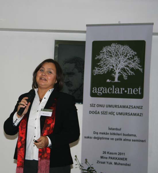 Name:  IMG_9144.jpg
Views: 689
Size:  51.6 KB