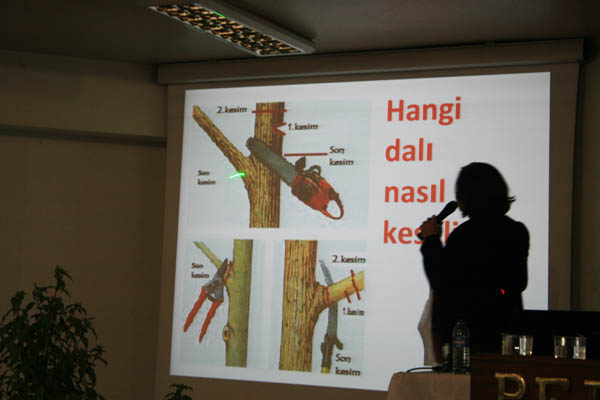 Name:  IMG_9150.jpg
Views: 714
Size:  49.1 KB