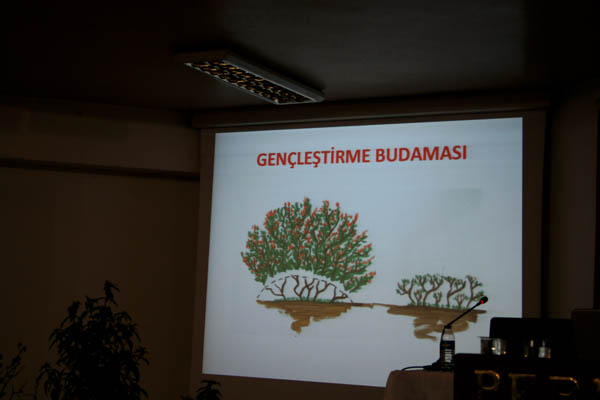 Name:  IMG_9154.jpg
Views: 622
Size:  40.3 KB