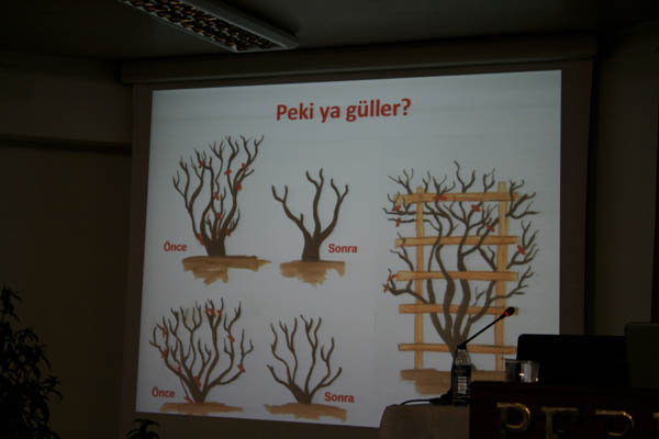 Name:  IMG_9155.jpg
Views: 709
Size:  44.4 KB