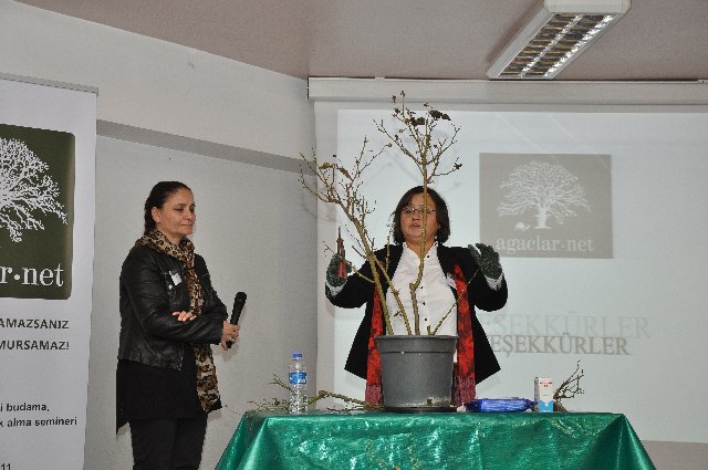 Name:  DSC_0044.jpg
Views: 672
Size:  65.8 KB