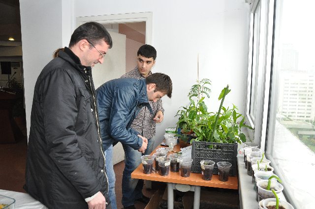 Name:  DSC_0020.jpg
Views: 626
Size:  66.6 KB