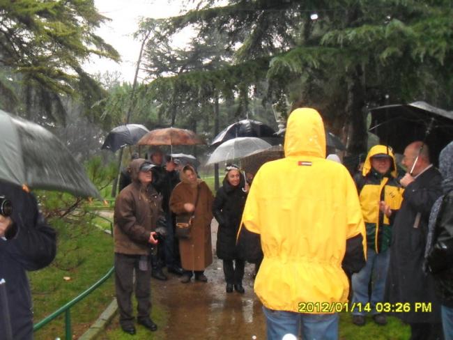 Name:  003.jpg
Views: 446
Size:  53.0 KB