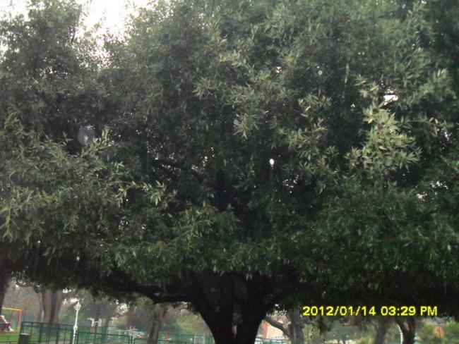 Name:  010.jpg
Views: 432
Size:  59.0 KB
