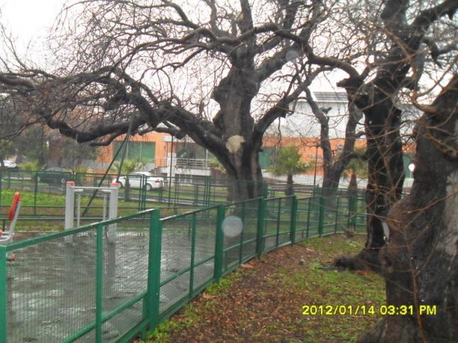 Name:  013.jpg
Views: 455
Size:  70.3 KB