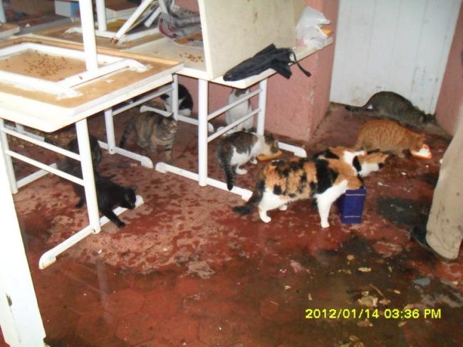 Name:  018.jpg
Views: 406
Size:  49.0 KB