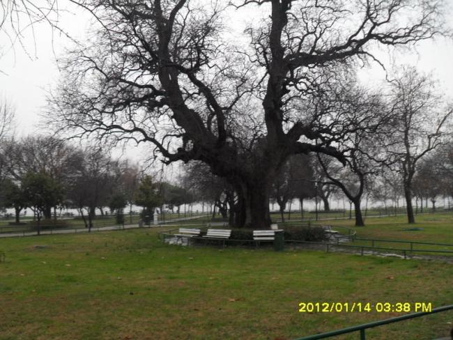Name:  021.jpg
Views: 423
Size:  68.0 KB