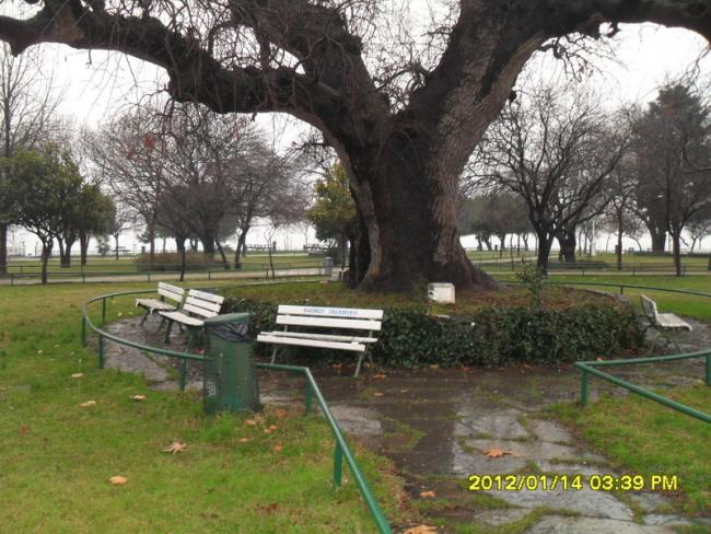 Name:  022.jpg
Views: 479
Size:  67.1 KB