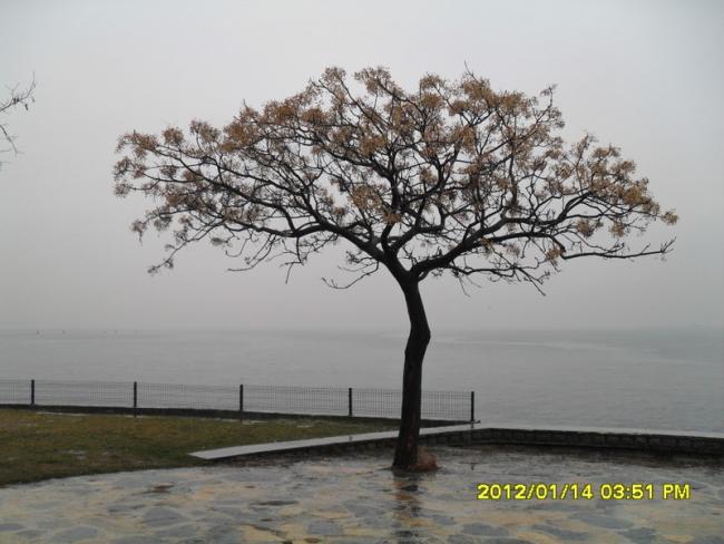 Name:  026.jpg
Views: 439
Size:  44.4 KB