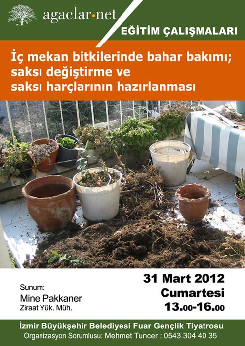 Name:  mine-31mart2012.jpg
Views: 2032
Size:  69.8 KB