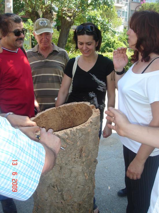 Name:  DSC04211.jpg
Views: 3363
Size:  73.6 KB
