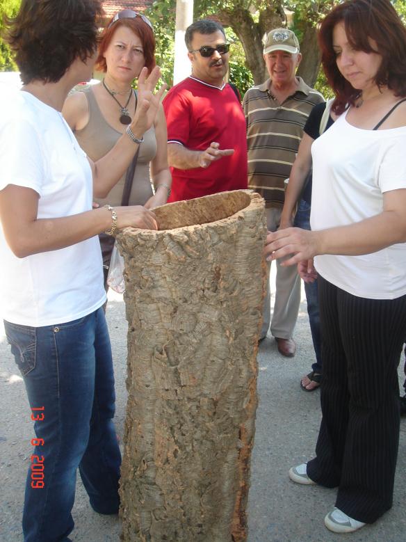 Name:  DSC04212.jpg
Views: 3256
Size:  71.7 KB