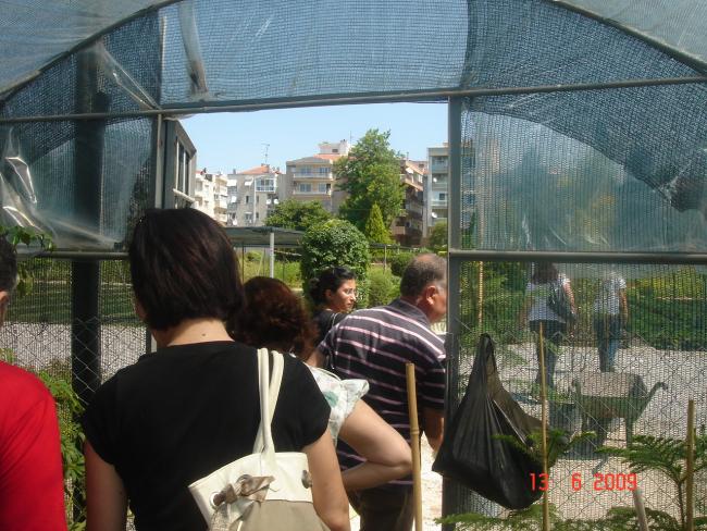 Name:  DSC04208.jpg
Views: 2835
Size:  68.6 KB