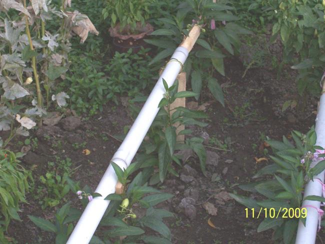 Name:  100_0544.jpg
Views: 2099
Size:  52.4 KB