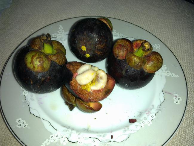 Name:  Mangosteen.jpg
Views: 4883
Size:  48.4 KB