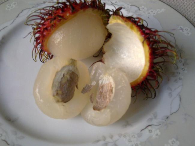 Name:  Rambutan2.jpg
Views: 9258
Size:  29.9 KB