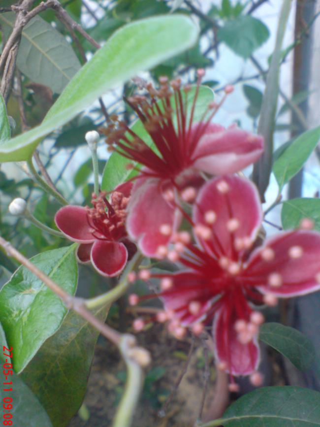 Name:  DSC01340.jpg
Views: 1995
Size:  62.9 KB