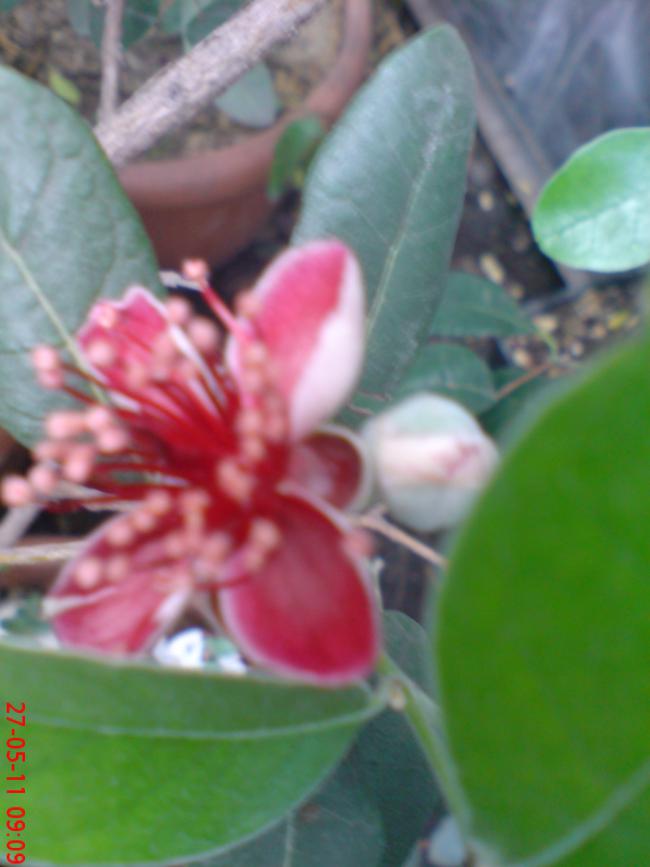 Name:  DSC01341.jpg
Views: 1924
Size:  45.5 KB