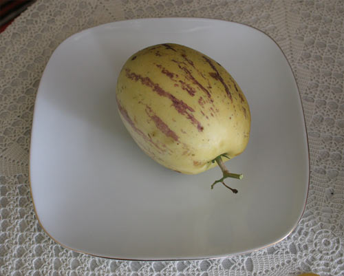 Name:  pepino1.jpg
Views: 2414
Size:  30.7 KB