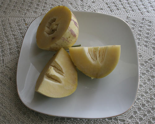 Name:  pepino2.jpg
Views: 2644
Size:  37.5 KB