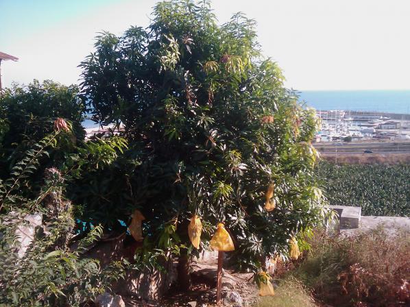 Name:  IMAG0194.jpg
Views: 4417
Size:  70.8 KB