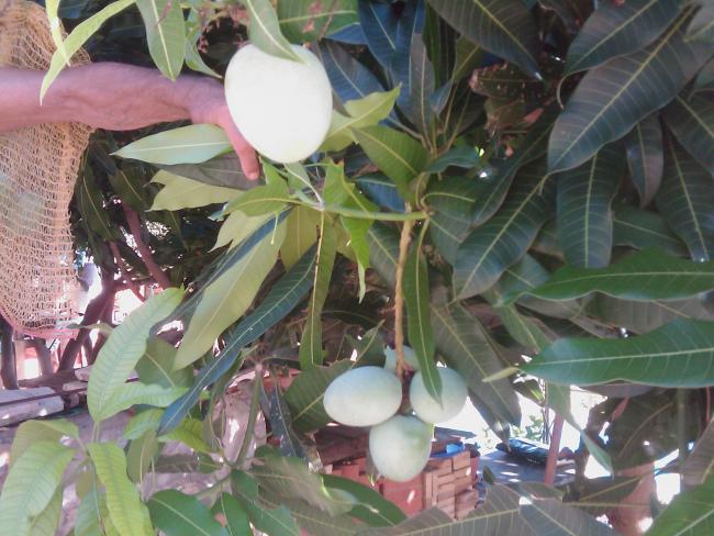 Name:  IMAG0191.jpg
Views: 4693
Size:  55.7 KB