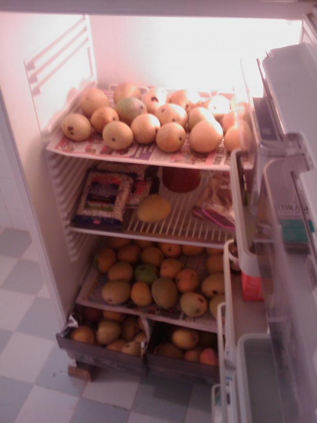 Name:  IMAG0201.jpg
Views: 5546
Size:  43.1 KB