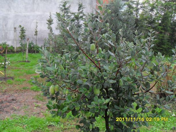 Name:  015.jpg
Views: 3230
Size:  70.8 KB