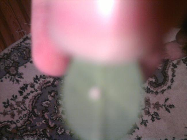 Name:  Fotoraf0316.jpg
Views: 448
Size:  25.2 KB