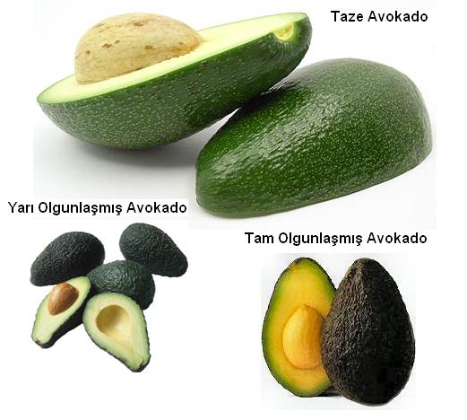 Name:  Avokado Oluumu.JPG
Views: 8394
Size:  37.8 KB