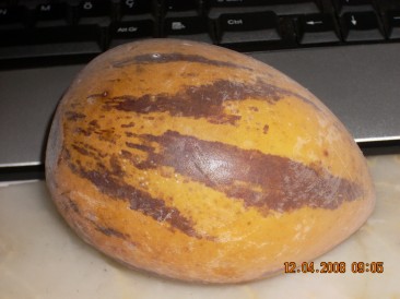 Name:  pepino1sby1.jpg
Views: 2613
Size:  68.3 KB