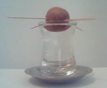 Name:  Skala Avokado.JPG
Views: 6509
Size:  6.3 KB