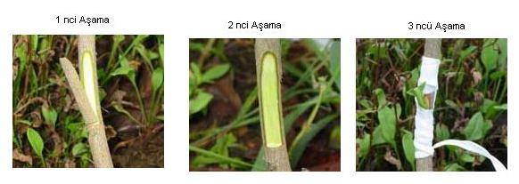 Name:  Am 1.JPG
Views: 23300
Size:  24.2 KB