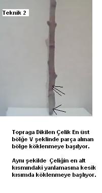Name:  elik 2.JPG
Views: 7194
Size:  11.0 KB