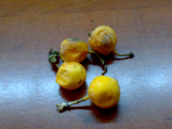 Name:  17102008210.jpg
Views: 860
Size:  23.3 KB