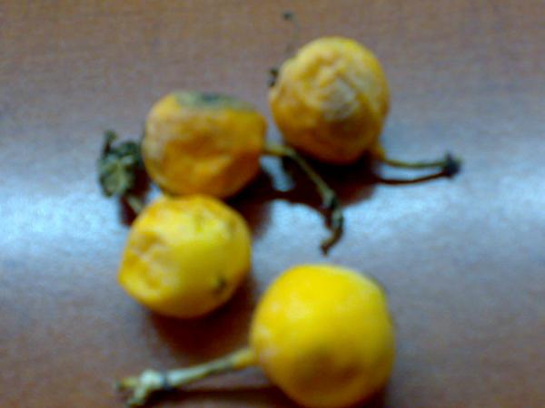 Name:  17102008211.jpg
Views: 851
Size:  22.4 KB