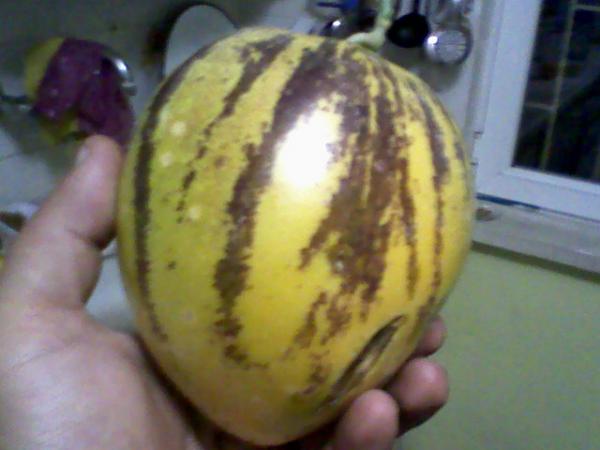 Name:  pe1.jpg
Views: 939
Size:  29.1 KB