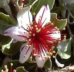 Name:  iek.jpg
Views: 37806
Size:  26.3 KB