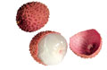 Name:  F0011347.jpg
Views: 25449
Size:  2.7 KB