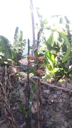Name:  20190903_094749.jpg
Views: 316
Size:  32.4 KB